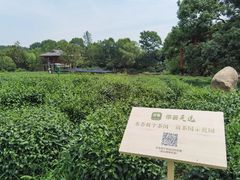 -中国茶叶博物馆(双峰馆区)