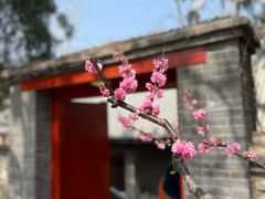 -香山公园