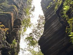 -梭布垭石林景区