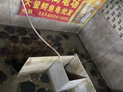 -龟场私房菜