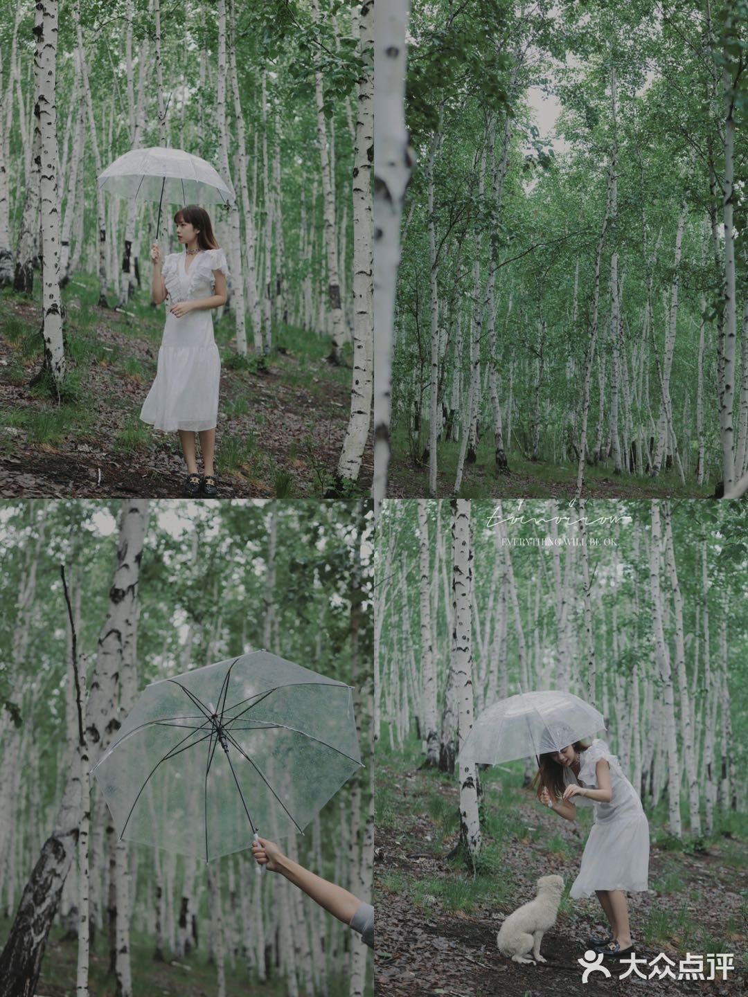 ☁️呼伦贝尔·夏天一起去看看大草原吧🍃6日攻略