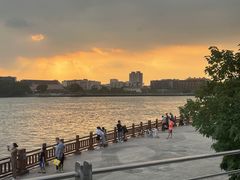 -more than meow吴止猫主题餐厅(承德 中船汇店)