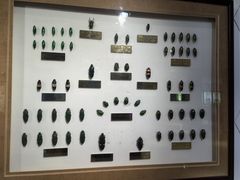 -上海昆虫博物馆