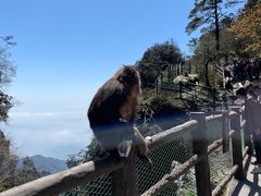 -峨眉山风景名胜区