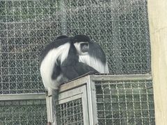 -黔灵山公园