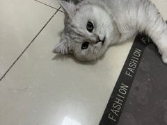 -联合动物医院(光谷诊疗中心)