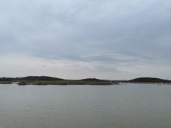 -南大港湿地风景区