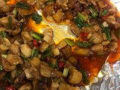 -鲜菌江湖正宗野生菌火锅