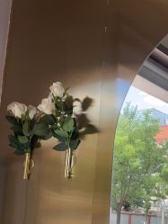 -卡尔诗·科技美肤连锁