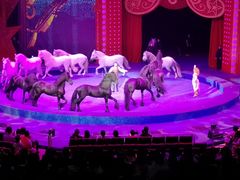 -珠海横琴长隆《卡卡虎奇遇记》