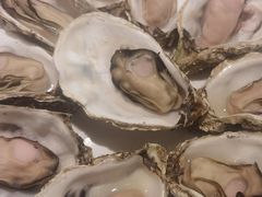 -千岛蚝高压锅生蚝·人参火锅(白云万达店)