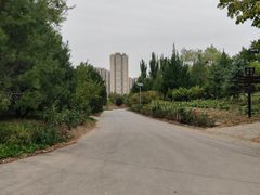 -永定河休闲森林公园