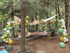 -重庆睡佛山森林公园