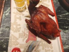 -大鸽饭(北京路店)