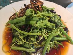 -雀蓝川菜(滨湖万象汇店)