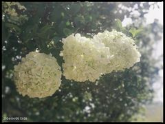 -苏州上方山国家森林公园