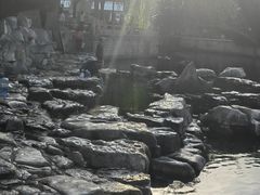 -胖哥俩肉蟹煲(世茂国际广场店)