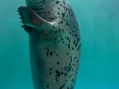 -青岛海底世界-水族馆