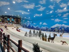 -世界之窗阿尔卑斯冰雪世界