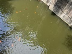 -千岛湖东南湖区