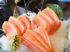 -春草居酒屋·晴子の店