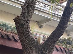 -浙江省博物馆(孤山馆区)