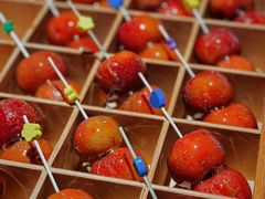 -鼎原力量东北吊炉烧烤(临河街店)