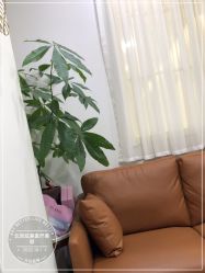 -北京炫美医疗美容