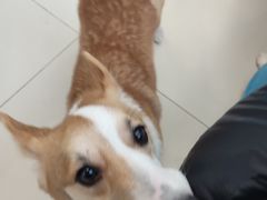 -怪兽屋·羊驼·猫咖·狗咖(俊华广场店)