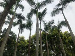 -四海公园(南山区)