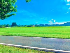 -光明小镇欢乐田园