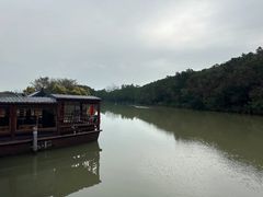 -大湾区中央湿地公园