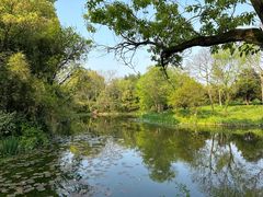 -西溪国家湿地公园