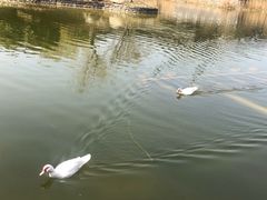 -鹦鹉寺公园