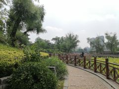 -迎泽公园