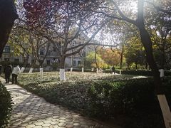 -山东师范大学(千佛山校区)