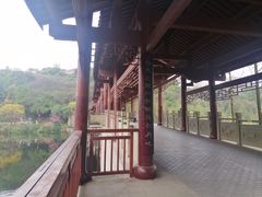 -重庆彩云湖湿地公园