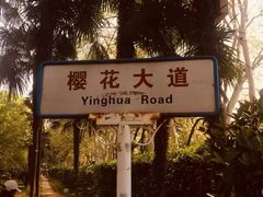 -武汉大学-樱园