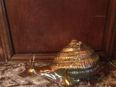 -金蜗牛