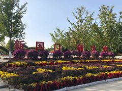 -大兴滨河森林公园