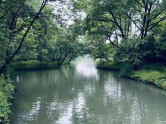 -西溪国家湿地公园