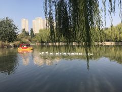 -南翠屏公园