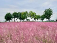 -汉长安城未央宫国家考古遗址公园