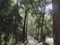 -忠山公园