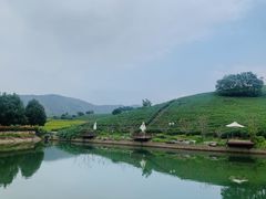 -帐篷客·溪龙茶谷度假酒店