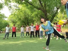 -淘米·公司团建·团队旅游·拓展培训