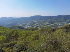 -大屏嶂森林公园