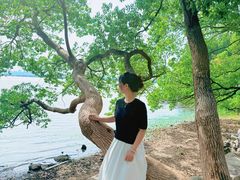 -东湖落雁景区