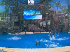 -珠海长隆海洋王国