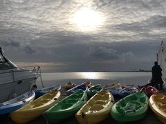 -碧海金沙